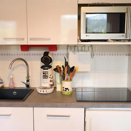 Lejlighed - Proche Centre, Pistes Et Commerces, Parking Couvert - Fr-1-623-156